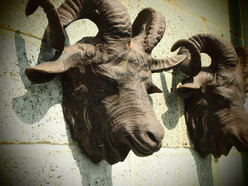 Cast Iron Ram's Head – Burgess Reclamation